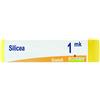 Silicea mk gr - BOIRON - 801345327