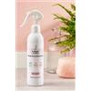 IL BUCATO DI ADELE spray Fresco Bucato Profuma tessuti spray, fragranza "FRESCO BUCATO", 1 flacone da 250 ml con vaporizzatore, NON TESTATO SU ANIMALI 100% VEGAN, MADE IN