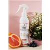 IL BUCATO DI ADELE spray Spring Party Profuma tessuti spray, fragranza "SPRING PARTY", 1 flacone da 250 ml con vaporizzatore, NON TESTATO SU ANIMALI 100% VEGAN, MADE IN I