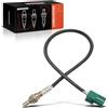 Frankberg Sensore lambda 22690-AX000 | Compatibile con: Primera Hatchback P12, Almera Tino V10, Almera II Hatchback N16, Veicolo di pattuglia GR V Wagon Y61