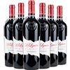 Duca di Saragnano Puglia IGT Primitivo Alchymia 2021 Box da 6 bottiglie