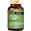 Salugea (reload) Liposan Forte Nf Salugea 60cps