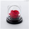Ars Nova Rosa incantata profumata cm 14 base in legno - rosso