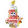 WC-Ente Total Active Gel, detergente per WC liquido antibatterico, detergente per WC, Mango Verse, confezione da 1 (1 x 750 ml)