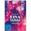 Busch Media Group Diva Futura