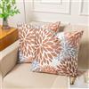 Miuyunya Set di 2 Federe Cuscini Divano Velluto 40x40 Gris Copricuscini Morbido Fodera per Cuscino Autunno Beige Dalia Fiore Moderno Decorazione Copricuscino per Soggiorno Camera Balcone