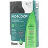 ZUCCARI Srl ALOECOLOR 5.17 CAST CHI NOCE