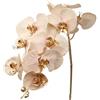 DRW Set 12 rami artificiali dorati con orchidee in PU-Foam rosa 96 x 15 x 15 cm