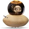HILEYOLLA Carillon con Sfera di Cristallo, Carillon Rotazione a 360° Base in Legno/Luce Notturna/Natale, Compleanno,San Valentino, Ringraziamento e Altri Regali per Le Feste