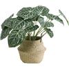 VerdantCharm Anthurium - Pianta artificiale in cristallo, 46 cm, decorazione per interni, per soggiorno, camera da letto e ufficio