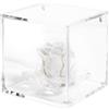 DC DEBORA CARLUCCI Debora Carlucci Rosa Stabilizzata Vera Eterna con 4 Petali in Cubo 8x8 cm Idea Regalo Festa della Mamma Donna Bomboniera Compleanno Anniversario Matrimonio Blu Bianco Rosa Rossa (Panna)