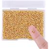 Pwsap 600Pezzi 10mm da Hoop 4mm Gancio a Vite Mini Perni Filettati Occhielli a Vite Acciaio Inossidabile Occhi a vite piccoli Viti Filettati per La Resina, Gioielli, Perlina e Plastica