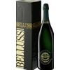 Bellussi Magnum Astucciato Valdobbiadene Prosecco Docg Brut, 5