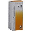 DR.RECKEWEG Reckeweg r14 gocce 50ml - DR.RECKEWEG - 909462917