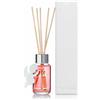 Arti&Mestieri Diffusore ambiente Bomboniera Persia 50 ml Angioletto