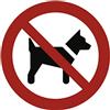 König Werbeanlagen Cartello per divieto cani, norma ASR A1.3/DIN 7010, in alluminio, diametro di 20 cm, resistente alle intemperie