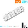 Tuya Controller per Strisce LED Dimmer e CCT Smart WiFi a 2 Canali 0/1â€"10V con Controllo RF e Pulsante a Pressione