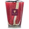 Baobab Collection BAOBAB Candela MAX 24 Risoud "woods"
