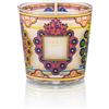 Baobab Collection BAOBAB Candela MY FIRST BAOBAB MEXICO