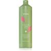 Echosline Colour Care Shampoo 1000 ml