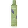 Echosline No Yellow Shampoo 300 ml
