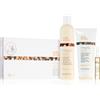 milk_shake® Integrity Nourishing Gift Set 1 pz