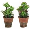 Ibergarden Pianta Decorativa in plastica, 16 x 23 x 16 cm (12 Pezzi)