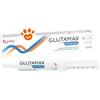 Candioli Dog&Cat Glutamax Advanced in Pasta Appetibile - Confezione Da 30 Gr