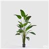 Enzo De Gasperi EDG Enzo De Gasperi Pianta Artificiale Strelitzia con Vaso H260 cm