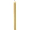 Cereria Di Giorgio - 12 Candele Cilindriche colore pieno - Diametro 1,9 cm Altezza 20 cm - Colore Avorio - Durata 5 ore
