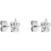 Purelei® Orecchini Plumeria - design floreale a fiori, impermeabili - in acciaio inossidabile, placcato oro 14K, placcato oro rosa 18K o argento, Normal, Acciaio inossidabile, abalone