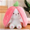 KOWAKA Fragola coniglietto trasformato in coniglio piccolo frutta bambola peluche giocattolo carota coniglio bambola peluche ragazza bambini regalo di compleanno (25cm, Strawberry Rabbit)