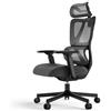 ProtoArc EC100 Sedia da Ufficio Ergonomica - Sedia da Scrivania con Cuscino a Molla da 10 cm, Supporto Lombare, Braccioli e Poggiatesta Regolabili, Sedia Girevole in Rete per Casa e Ufficio, Nera