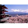 SuperPower® Premium 1000 Pezzi Puzzle di legno Giochi Monte Fuji Fiori di ciliegio Modello Puzzle da Pavimento Giocattoli Cornice per foto per la casa Regali per la decorazione della parete