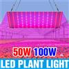 CanLing 100W LED Spettro Completo Coltiva Le Luci Quantum Board Lampada di Coltivazione Spina DEGLI STATI UNITI/UE Per Interni Frutta Serra Tenda Sapling Verdure