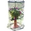 Verdemax Serra per pianta verdemax anthurium pop-up 70x110 cm