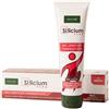 SOLIME' Srl SILICIUM FLEX ARNICA 100ML
