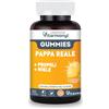 VITARMONYL PAPPA REALE GUMMIES - Con Propoli e Miele - Con Propoli e Miele - Facili da assumere - Per i Bambini +3 - Energia e Vitalità - 30 Gummies - Gusto Limone
