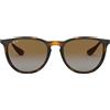 Ray-ban Ray Ban Erika RB 4171 710/T5