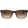 Ray-ban Ray Ban Andy RB 4202 607313