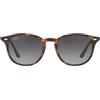 Ray-ban Ray Ban RB 4259 710/11