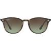 Ray-ban Ray Ban RB 4259 731/E8