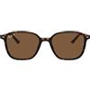 RAY-BAN Leonard RB 2193-902/57