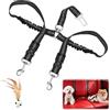 VOSSOT Cintura sicurezza cani auto 2-in-1,Cintura regolabile ed elastica per due cani con moschettone girevole a 360° e design ammortizzante, universale per sedile posteriore e bagagliaio
