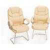 Coppia Poltroncine Ospite - Mod. Silky