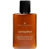 CALMING WASH - 100 ml