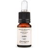 Estratto di profumo Fragranze CLASSICHE - Ambra