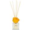 ART COLLECTION Diffusore in ceramica con bastoncini - Oro frizzante, 100 ml