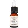 Estratto di profumo Fragranze CLASSICHE - Eucalipto