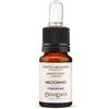 Estratto di profumo Fragranze CLASSICHE - Melograno